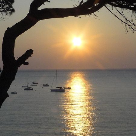 Hotel La Torre Calella De Palafrugell Eksteriør billede